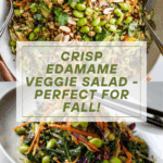 Edamame Crunchy Veggie Salad Recipe