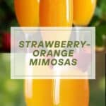 Sunrise Strawberry Mimosa Recipe