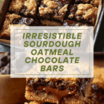 Oatmeal Chocolate Sourdough Cookie Bars Recipe