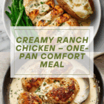Creamy Ranch Chicken Recipe