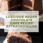 The Best Vegan Chocolate Cake Recipe