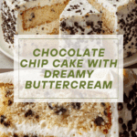 Chocolate Chip Cake Recipe
