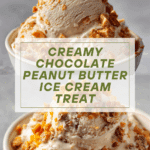 Chocolate Peanut Butter Ninja Creami Recipe