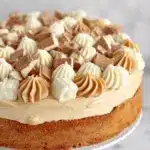 White Chocolate Peanut Butter Blondie Cheesecake Recipe