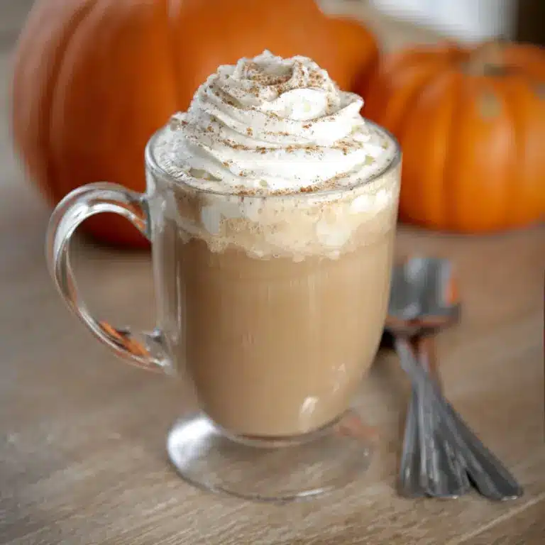 Homemade Pumpkin Hot Chocolate Recipe