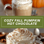 Homemade Pumpkin Hot Chocolate Recipe