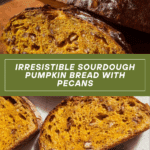 Sweet Sourdough Pumpkin Bread with Cinnamon and Pecans Recipe