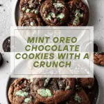 Chocolate Mint Oreo Cookies Recipe