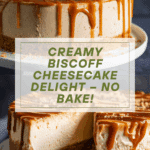 Biscoff Cheesecake Recipe