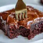 Chocolate Texas Sheet Cake Recipe