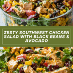 Zesty Southwest Chicken Salad Recipe is a must-try! Recipe