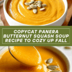 Savory Copycat Panera Butternut Squash Soup Recipe