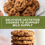 The Best Lactation Cookies {for Milk Supply} Recipe