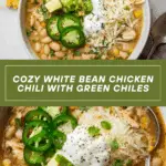 White Bean Chili Recipe