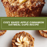 Tasty Baked Apple Cinnamon Oatmeal Cups Recipe