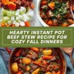 Life Changing Instant Pot Beef Stew Recipe