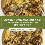 Vegan Mushroom Orzo Recipe