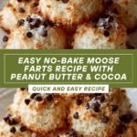Easy No-Bake Moose Farts Recipe