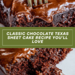Chocolate Texas Sheet Cake Recipe