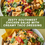 Zesty Southwest Chicken Salad Recipe