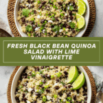 Black Bean Quinoa Salad Recipe