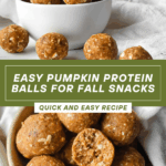 Pumpkin Protein Balls Recipe