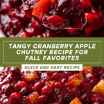 Cranberry Apple Chutney Recipe