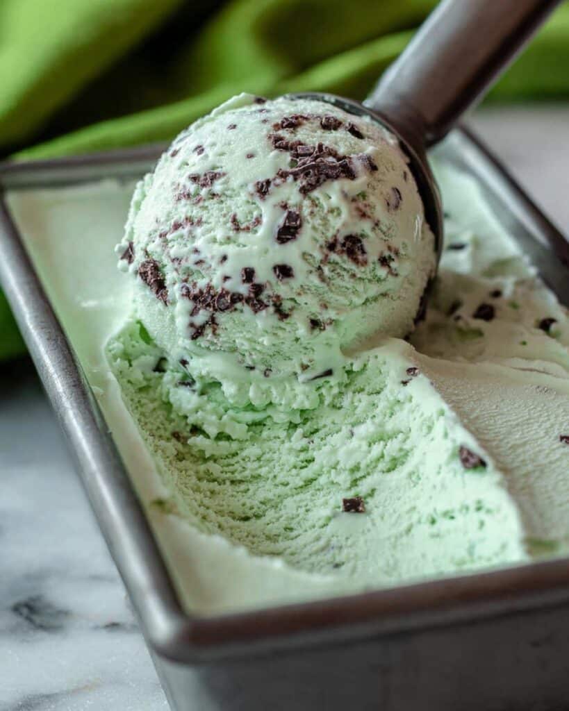 Mint Chocolate Chip Ice Cream Recipe